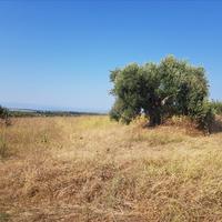 Земельный участок в Греции