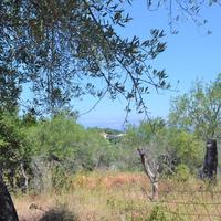 Land plot in Greece