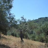 Land plot in Greece