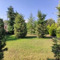 Другое в Греции, 360 кв.м.