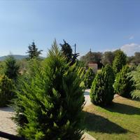 Другое в Греции, 360 кв.м.