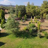 Другое в Греции, 360 кв.м.