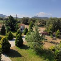 Другое в Греции, 360 кв.м.