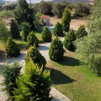 Другое в Греции, 360 кв.м.