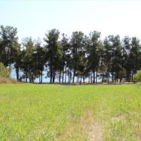 Земельный участок в Греции