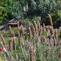 Villa in Greece, 240 sq.m.