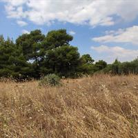 Земельный участок в Греции