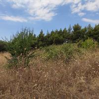 Земельный участок в Греции