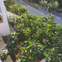 Townhouse in Greece, 158 sq.m.