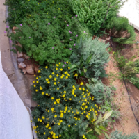 Townhouse in Greece, 158 sq.m.