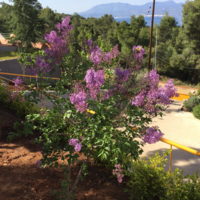 Townhouse in Greece, 158 sq.m.