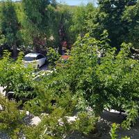 Flat in Greece, 75 sq.m.