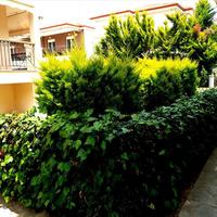 Flat in Greece, 62 sq.m.