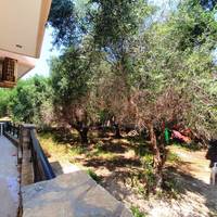 Other in Greece, 100 sq.m.