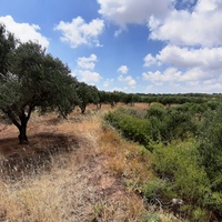 Земельный участок в Греции