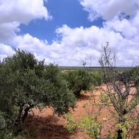 Земельный участок в Греции