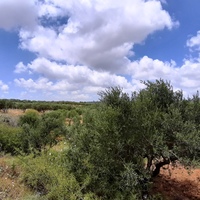 Земельный участок в Греции