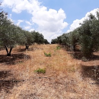 Земельный участок в Греции