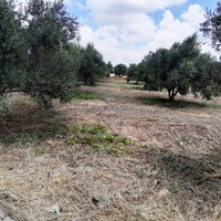 Земельный участок в Греции