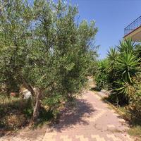 Другое в Греции, 144 кв.м.