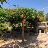 Другое в Греции, 144 кв.м.