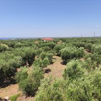 Другое в Греции, 144 кв.м.