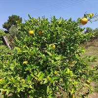 Другое в Греции, 144 кв.м.