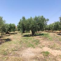 Другое в Греции, 144 кв.м.