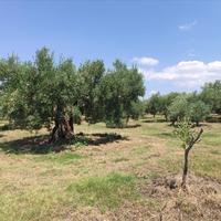 Другое в Греции, 144 кв.м.