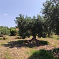 Другое в Греции, 144 кв.м.