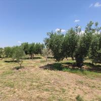 Другое в Греции, 144 кв.м.