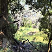 Земельный участок в Греции