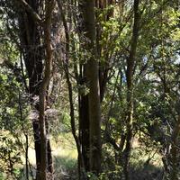 Земельный участок в Греции