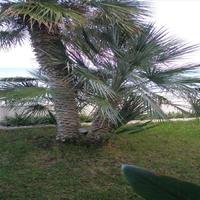 Вилла в Греции, 200 кв.м.