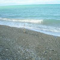 Вилла в Греции, 200 кв.м.