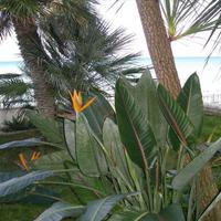 Вилла в Греции, 200 кв.м.