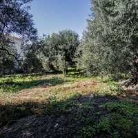 Другое в Греции, 65 кв.м.