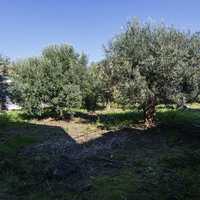 Другое в Греции, 65 кв.м.