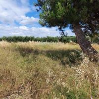 Земельный участок в Греции