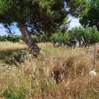 Земельный участок в Греции