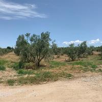 Земельный участок в Греции