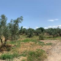 Земельный участок в Греции