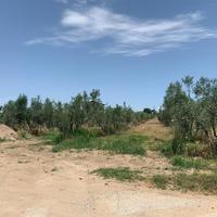 Земельный участок в Греции