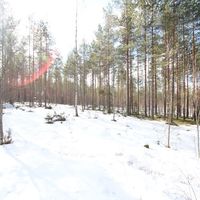 House in Finland, 38 sq.m.