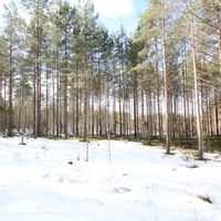 House in Finland, 38 sq.m.