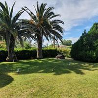 Другое в Греции, 130 кв.м.