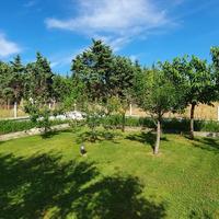 Другое в Греции, 130 кв.м.