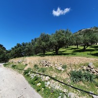 Land plot in Greece