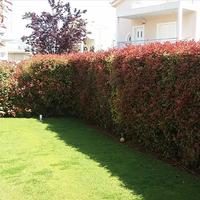 Other in Greece, 252 sq.m.