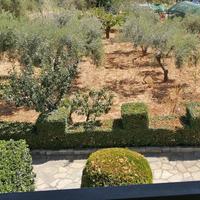 Other in Greece, 439 sq.m.